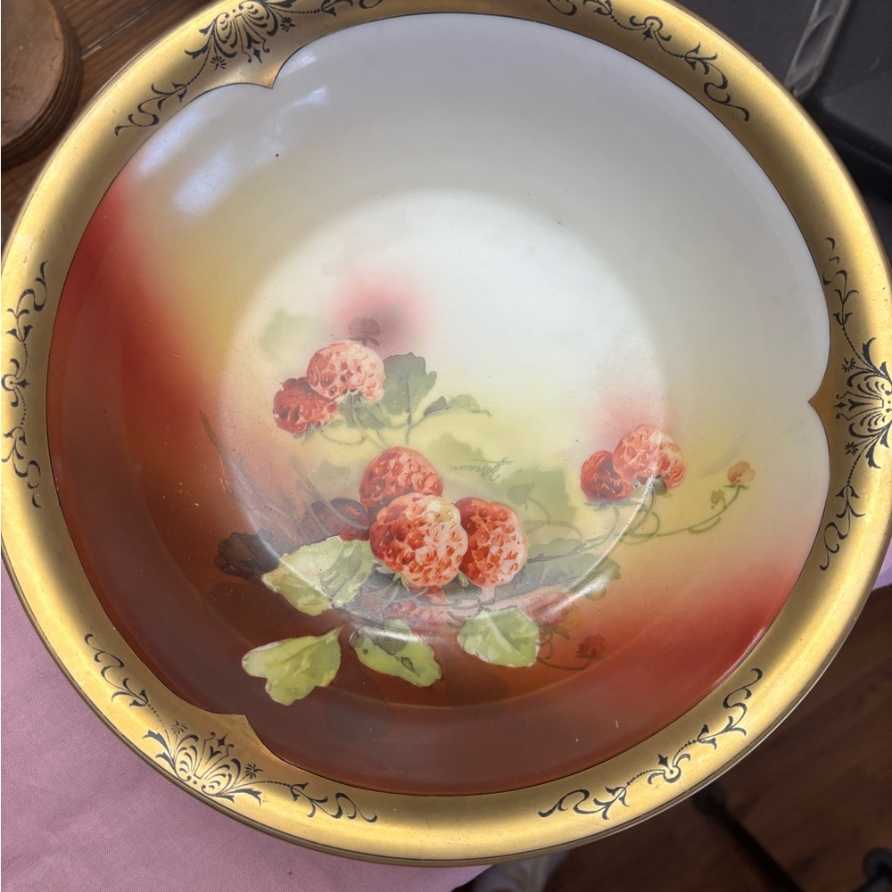 Vin Z.S&Co Handpainted Bavarian china bowl.